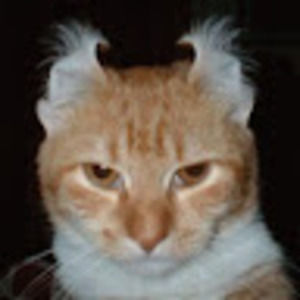 Meet your Posher, Joan